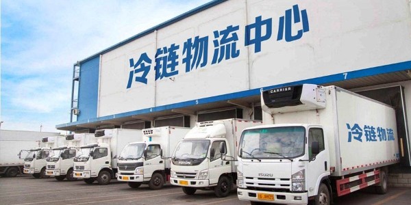 适合冷链运输的91色蝌蚪周转箱